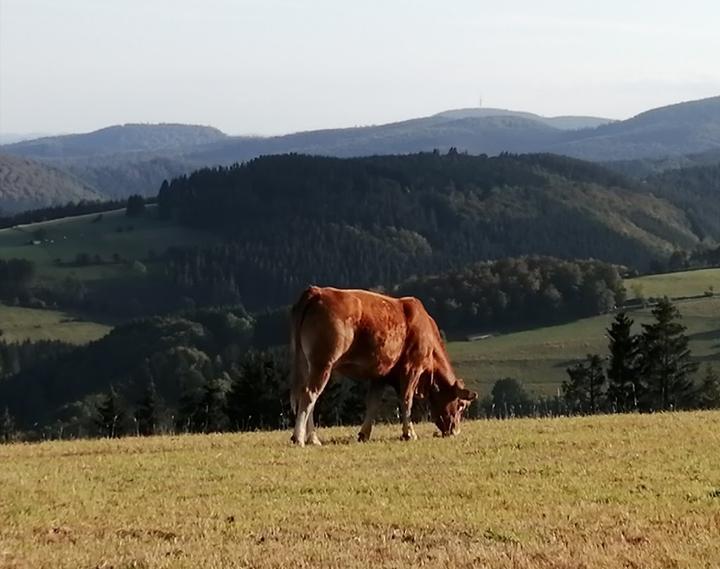 Graf Stolberg Hutte